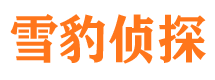 万全市侦探调查公司